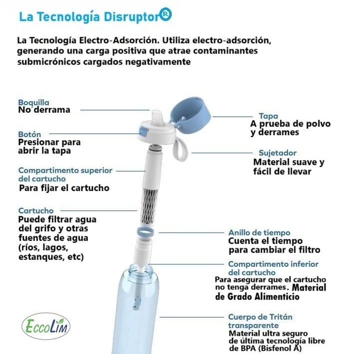 estructura botella espanol
