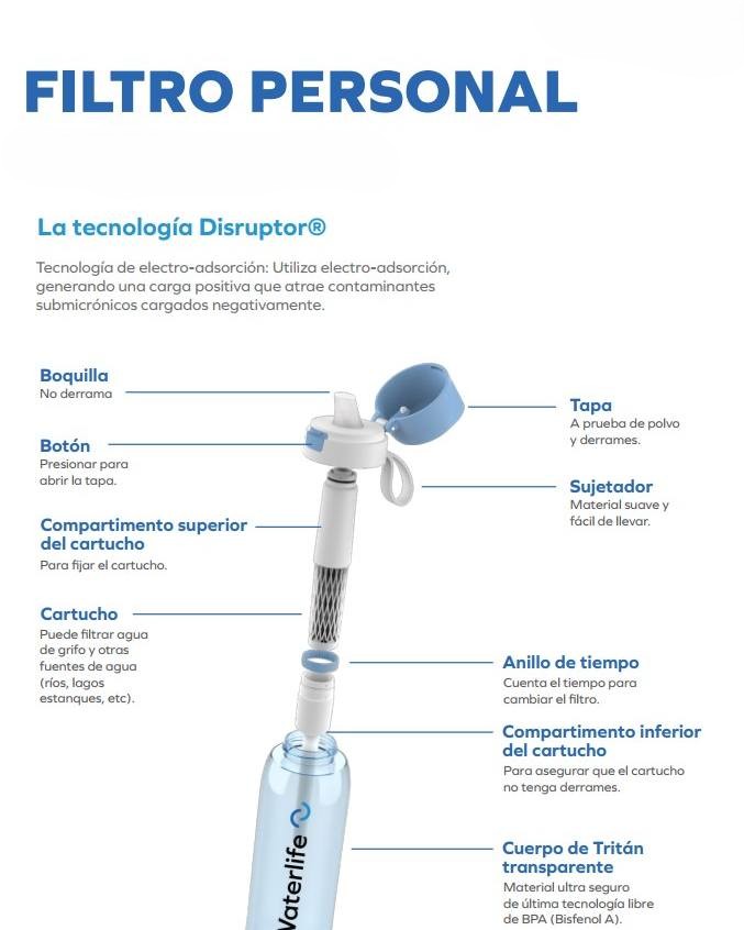 estructura botella español